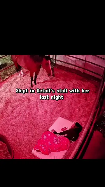 I slept in Detail’s stall with her last night to encourage her to lay down, but 