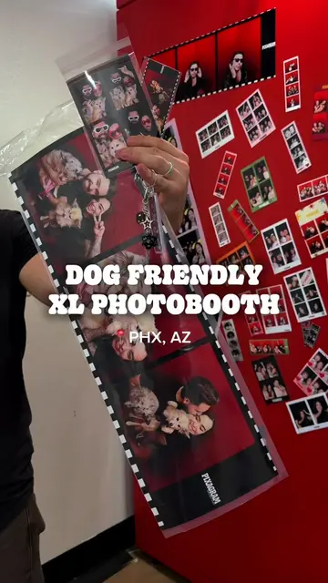 📸🐾 Looking for a unique dog-friendly outing? We found one! Pixagram is home to