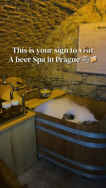 Our favourite thing we did in Prague  #prague #praguetravel #praguetodo #mustdop