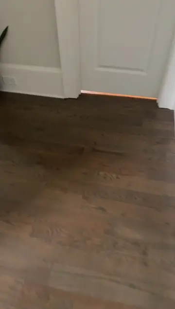 Heard the bathroom door close and knew something was up