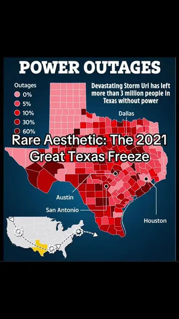 Are you a survivor? #texas #texasfreeze #rareaesthetic #texassnowstorm2021 
