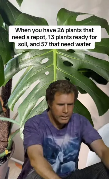 😅😅😅😅 #fyp #houseplants #PlantLover #PlantTok #PlantsMakePeopleHappy 
