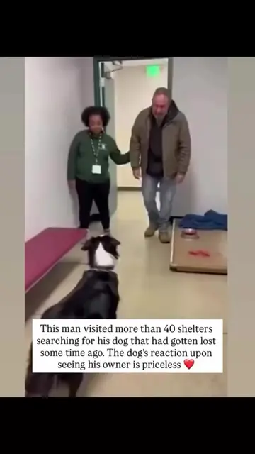 🥹#dog#☺️ #doglover #reunited 