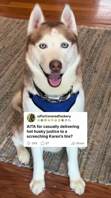 Are WE the asshole?  #husky #huskies #dogs #dogsoftiktok #huskysaurusdex 