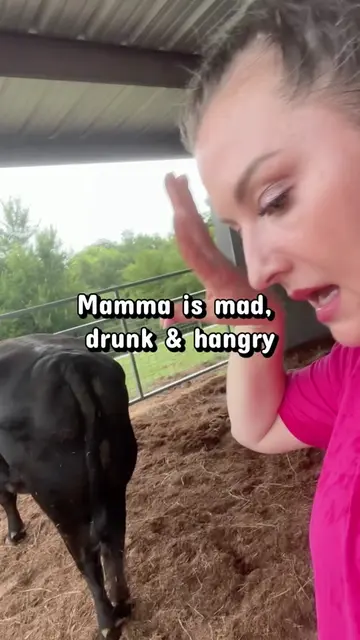 Mamma cow is mad, drunk & hangry #cow #cowsoftiktok #cows #cowmom #farmwife 