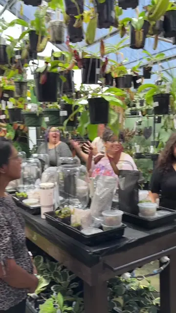 Day One Recap! Our first of two terrarium building workshops hosted by @Plantswi