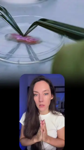 L’Oréal Groupe crée de la peau reconstruite en labo. La première fois c’était en