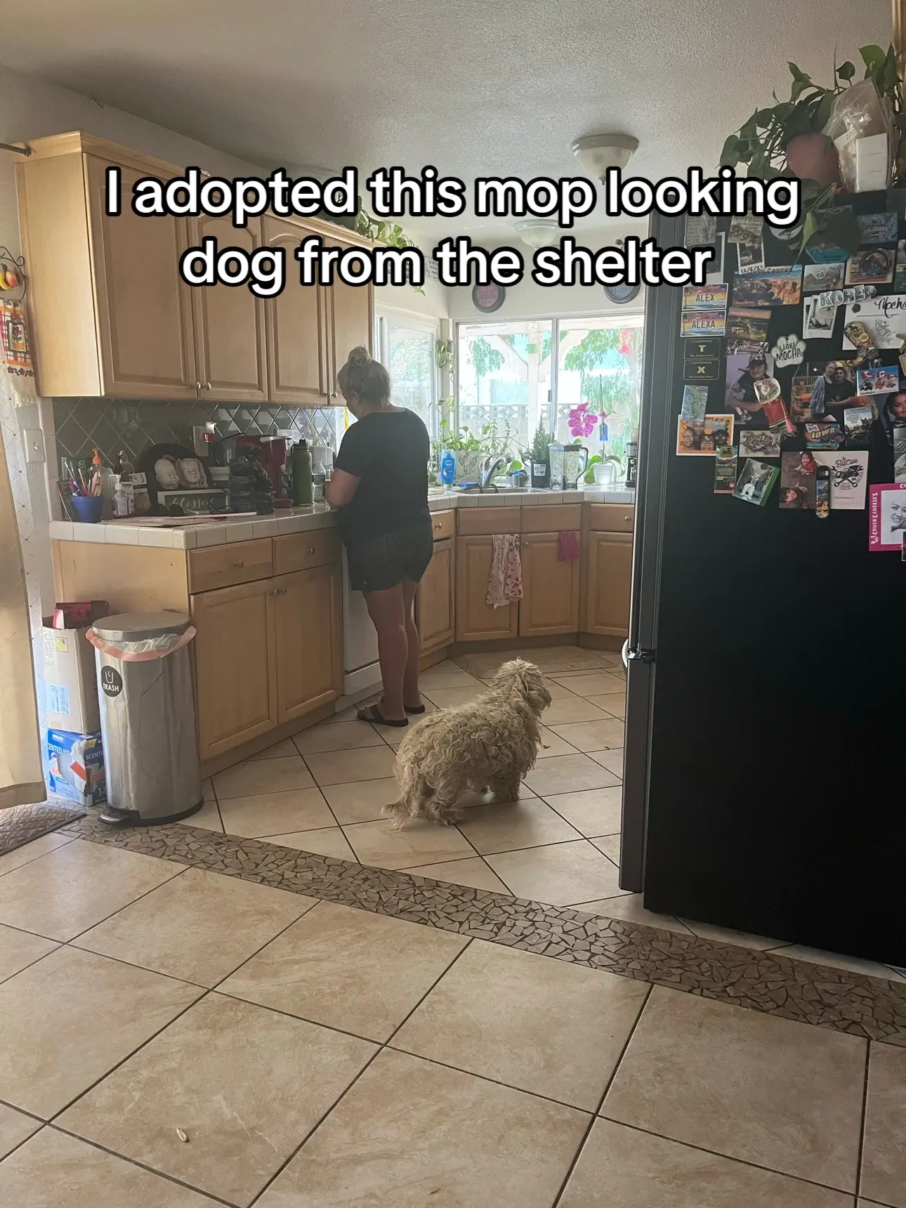 I adopted him bc I seen he was in a cage with 6 other dogs! One thing about me i