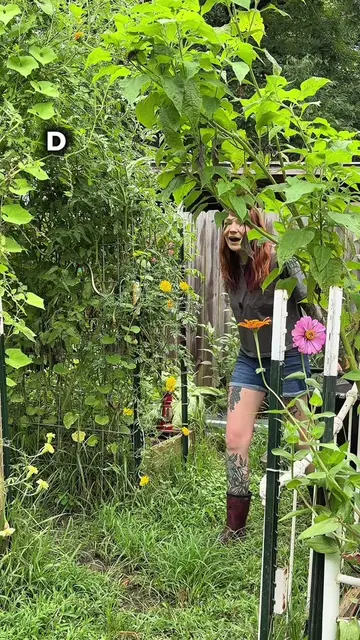 Saving your own marigold, zinnia, and sunflower seeds means there’s no need to p