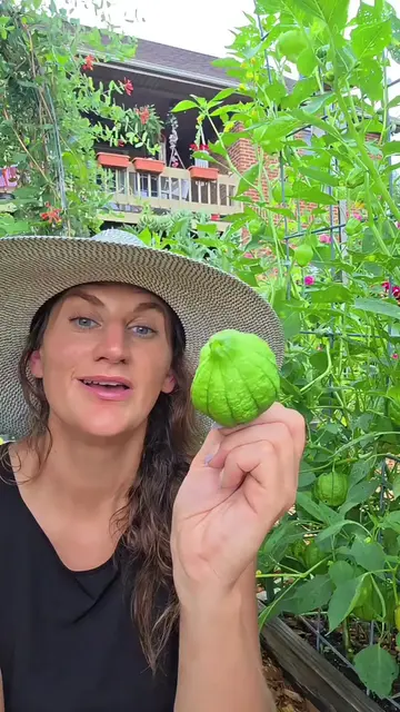 Tomatillos are one of my favorite things to be able to grab out of the garden. A