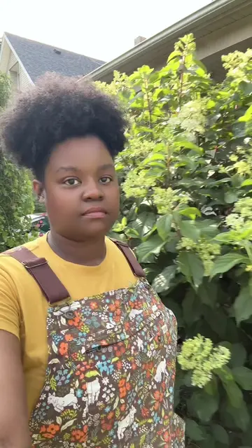 The vanilla strawberry hydrangeas that made me a hydrangea mother! I wasn’t even