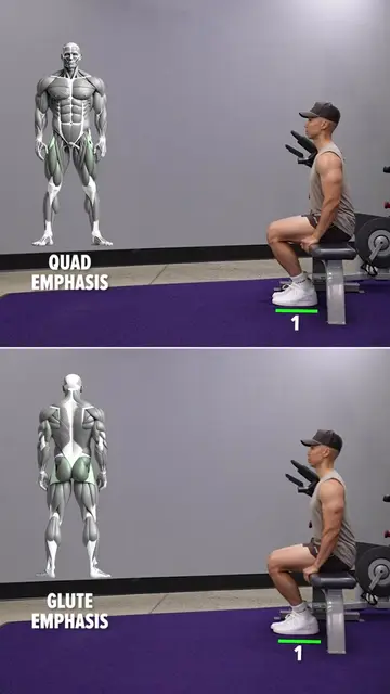 Bulgarian Split Squat: Quads vs. Glutes   Your ideal distance from the bench wil