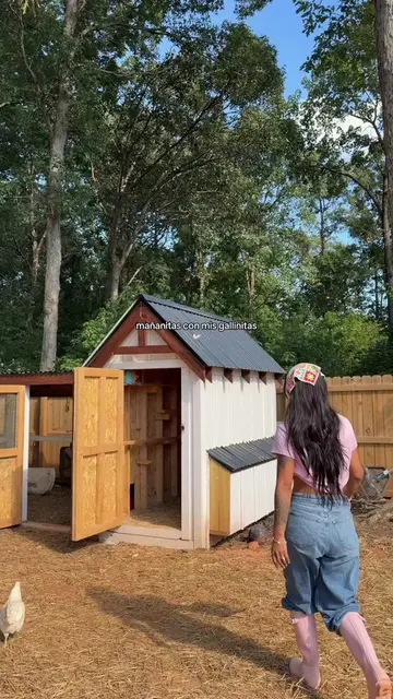 Mis mejores amigas 🤭🐓🐓🐓 #chickensoftiktok #chickentok #latina 