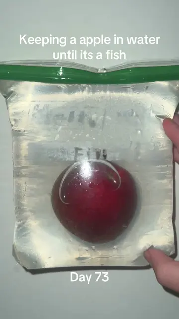 #pleasedontflop #sciencefun #viralchallenge #appleexperiment #appleinwater 