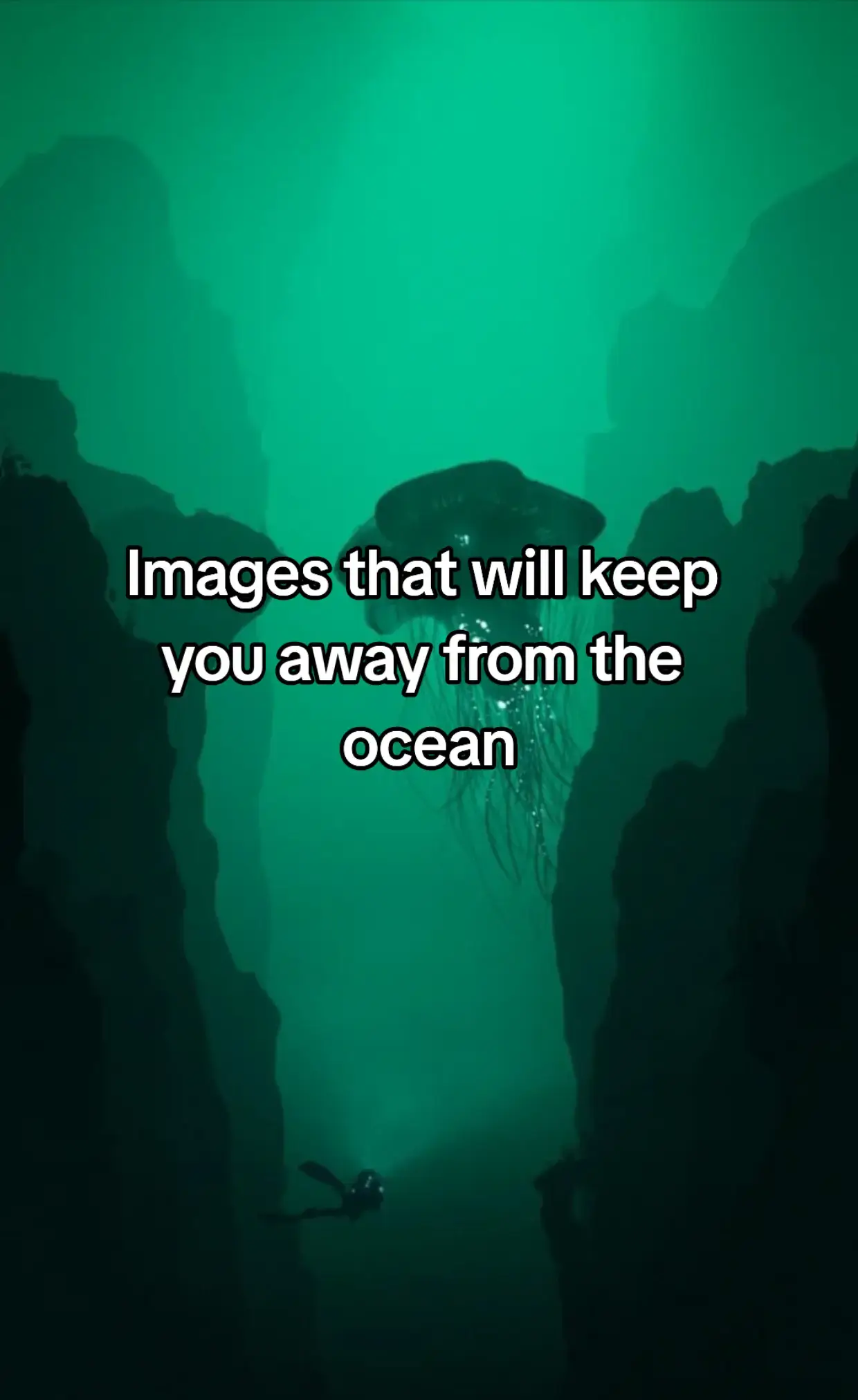 #oceantok #slideshow #ocean #fyp #usa 