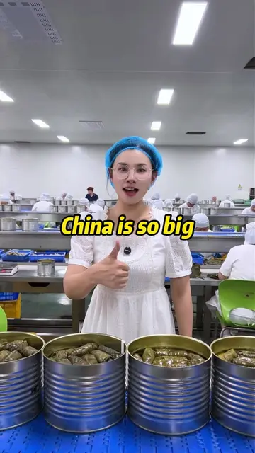 China is so big, ARTJUS  is good, stuffed grape leaves is great, material is fre