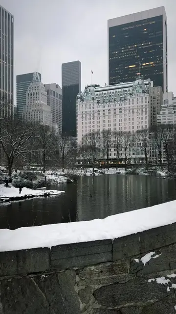 #homealone #newyork #christmas #kevinmccallister #theplazahotel 
