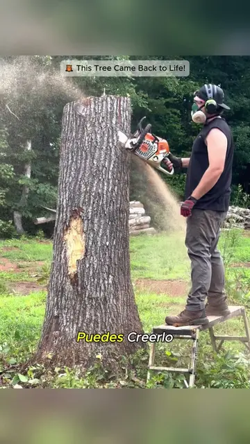 🌳HeTurnedaDeadTreeIntoa$20,000OwlMasterpiece#WoodCarving🪵#TreeArt🌳#AmazingCra
