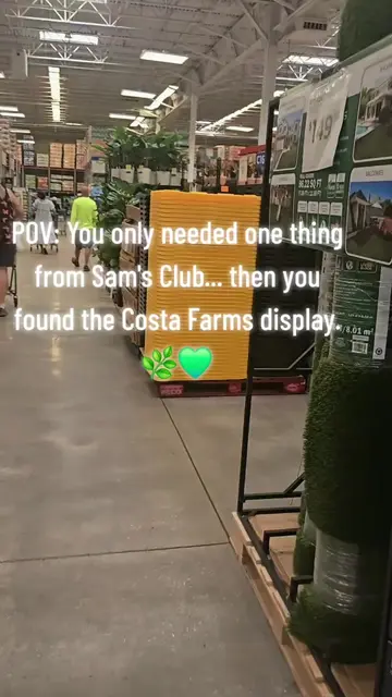 Today's Sam's Club trip turned into a @Costa Farms treasure hunt. Which plant wo