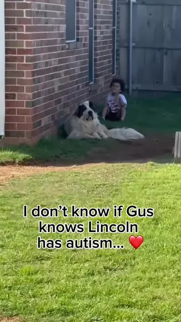 Some bonds don’t need words. 🤍 Every time Lincoln heads outside, Gus is right t