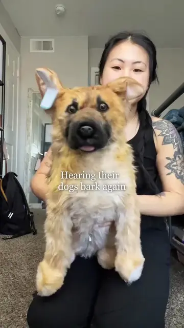 The sound immediately takes you right back. 🥹🐾 #petsies #dog #dogsoftiktok #do