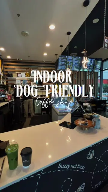 Dog owners!!! 🐾 We checked out @honey2abee , an indoor/outdoor dog-friendly cof