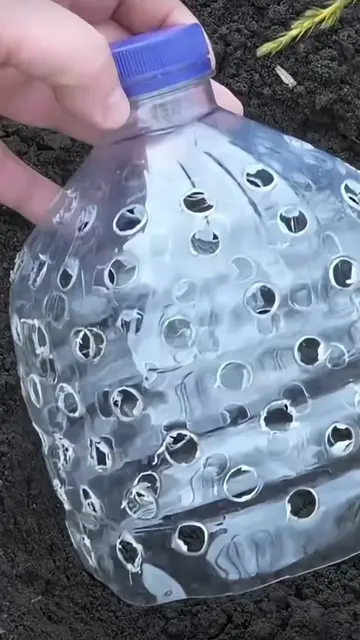 Gardening hacks #DIYGarden #Gardening #GardenHack #PlantCare #fypppppppppppppppp