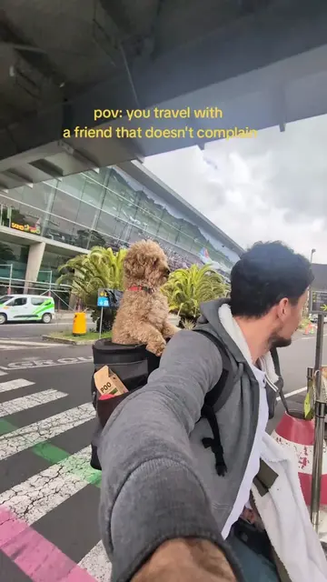 10/10 that's the thing about traveling with a dog instead of a human - no "are w