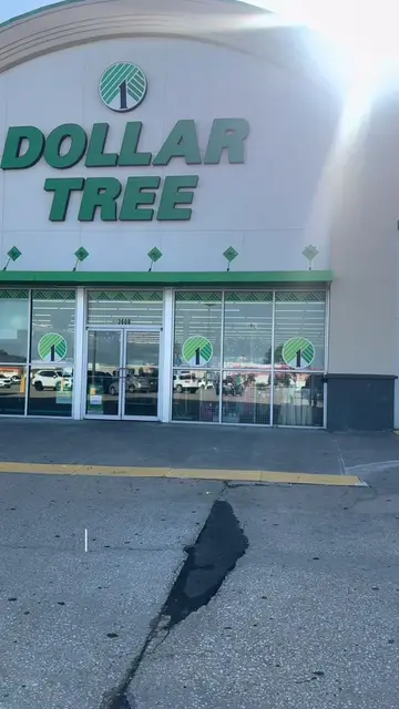 Let’s make a car essential kit 💚✨ Everything is from dollar tree ✨💚 #dollartre