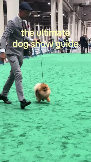 five things to do at the htx dog show!!!!! i love it here!!!! in town until sund