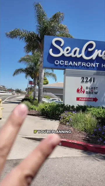 POV: You find the hotel that makes you never want to leave. 🌊🤍🐾  @SeaCrest Oc
