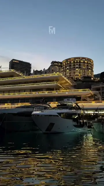 MONEY  #luxury #wealth #luxurylifestyle #money #rich 