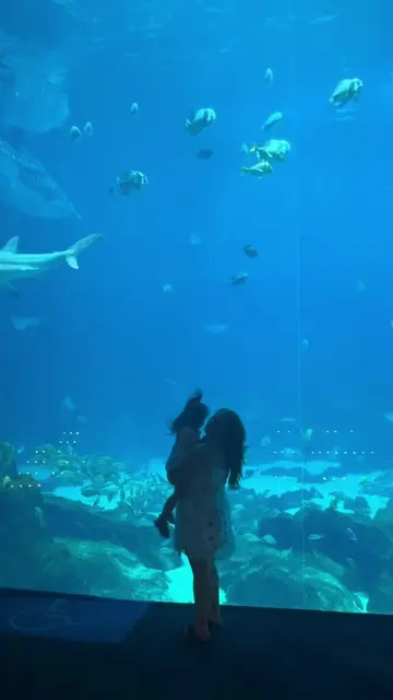 You know who you are 🩵  I love the ocean and all it’s creatures. If you ever ha