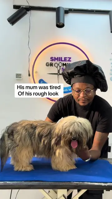 His mum was tired of his rough look, so she brought him to us! 🐾✨ We gave him t