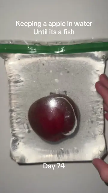#pleasedontflop #sciencefun #viralchallenge #appleexperiment #appleinwater 