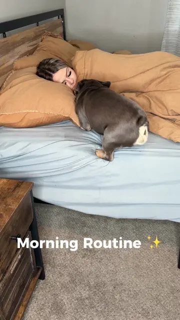 Morning Routine 