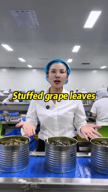 Welcome to our Chinese grape leaves factory. 20,000 m2 standard workshop, fully 