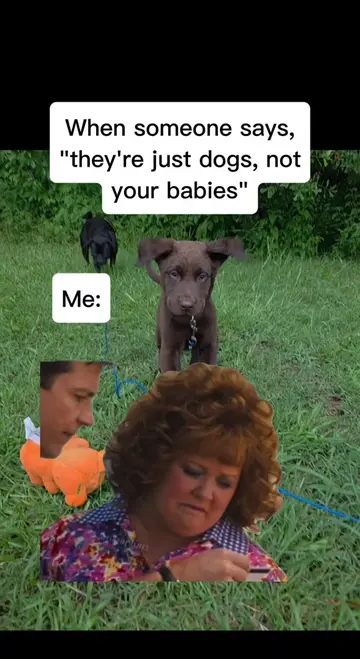 How about we try that again💪🏼🤨 #dogsoftiktok #puppylife #servicedoglife 