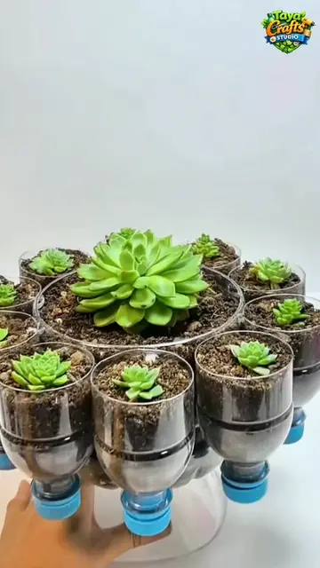 🌿✨ Turning ordinary waste into extraordinary beauty! ♻️💚 Can you believe this 