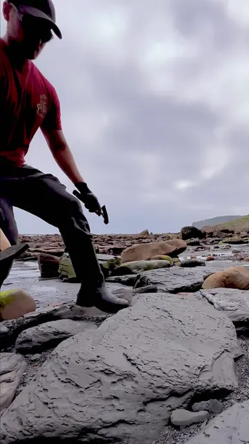 We searched a remote, rocky beach for fossils and crystal and found a Jurassic b