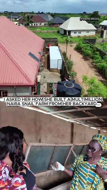 How she started her multimillion naira snail farm from her backyard #fyp #farmin