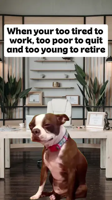 Who can relate?🫠🤣 #corporateamerica #officememes #corporatehumor #corporatelif