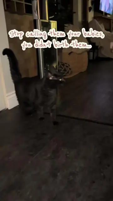 Well time for a TB/Repost since I stilk think this video deserved better almost 