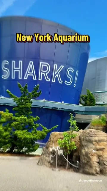 New York Aquarium is giving sea lions, sharks, and penguins ALL in one stop 🦭 D