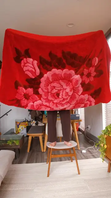 There’s a specific kind of comfort that only these fleece blankets bring. They a
