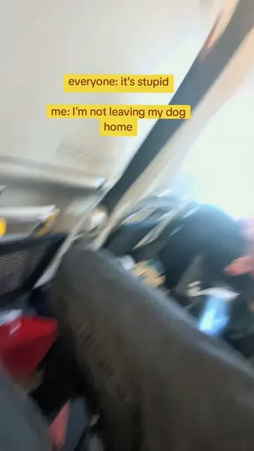 every time i mention traveling full-time with a dog, someone's got an opinion. t