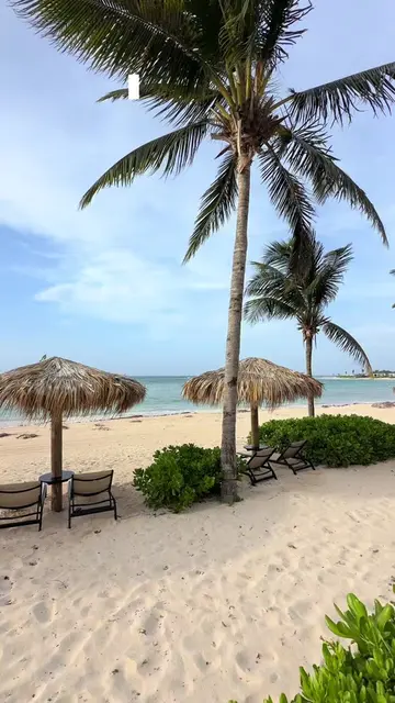 📍Excellence Oyster Bay Jamaica-Junior Suite Swim Out Room Tour 🇯🇲 #excellence