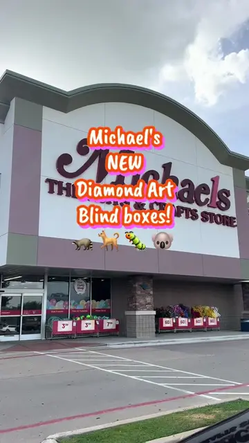 @Michaels Stores #diamondpainting #diamondart #blindbox #mysterybox #shopping