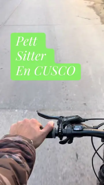 Te preocupa dejar a tu mascota sola? 🐶🏡 En Privé la cuidamos como si fuera nue
