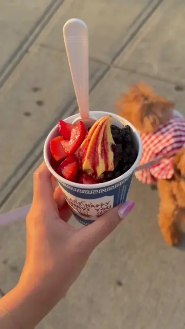 Forest Hills now has Greek froyo 🇬🇷🍦Send this to a friend to go with 🤍 Say h